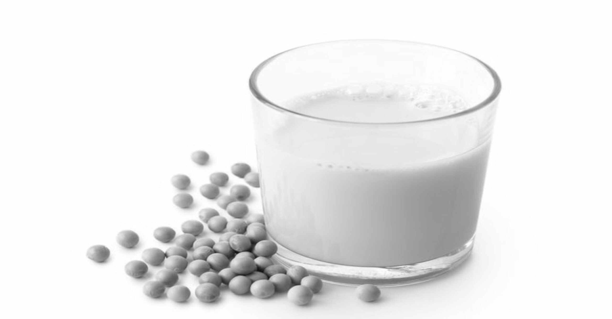 Cara buat Susu KedelaiCara Buat Susu Kedelai Untuk Dijual